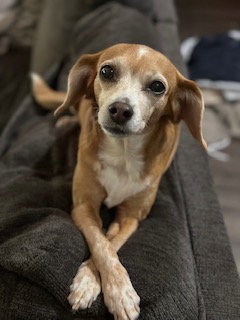 Sebastian