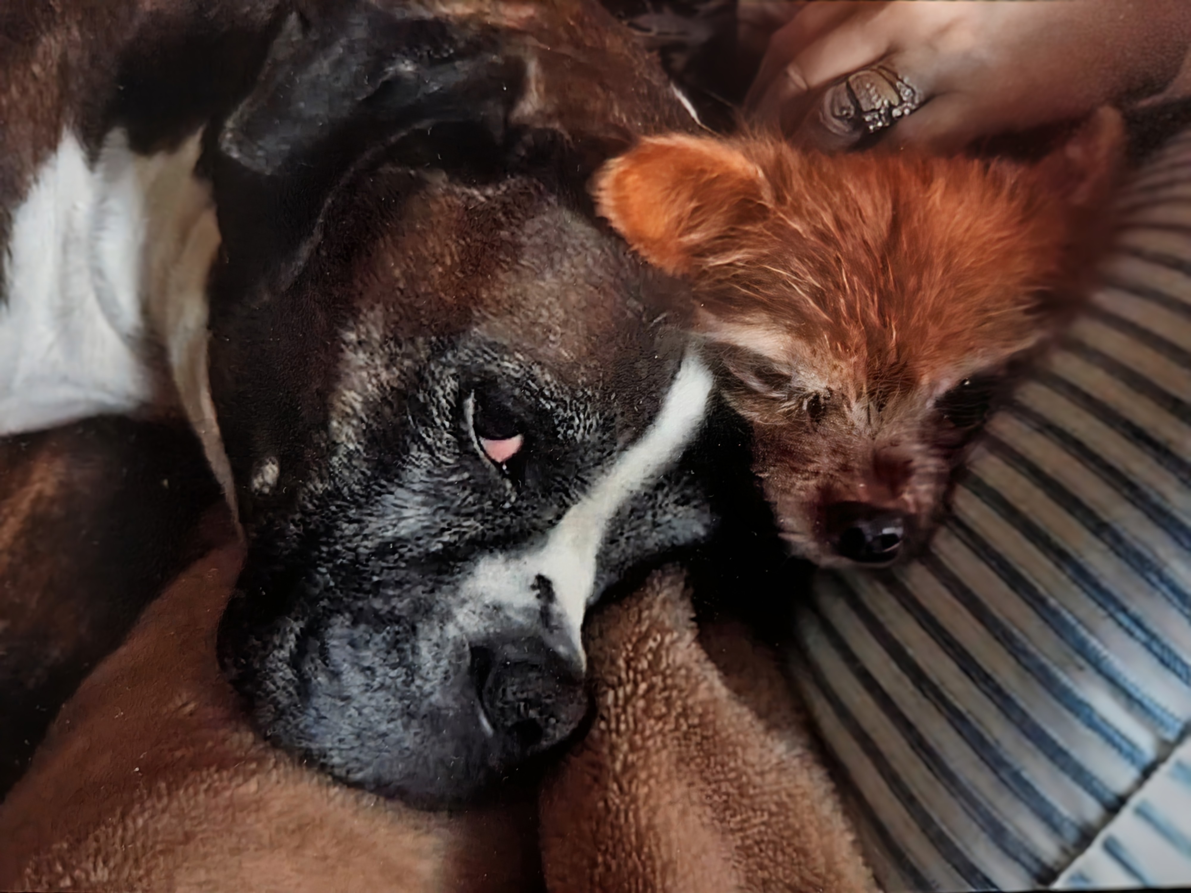 Dante and Samantha