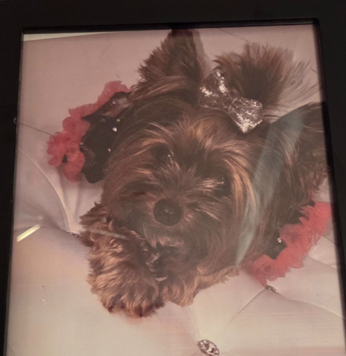 Khloe
