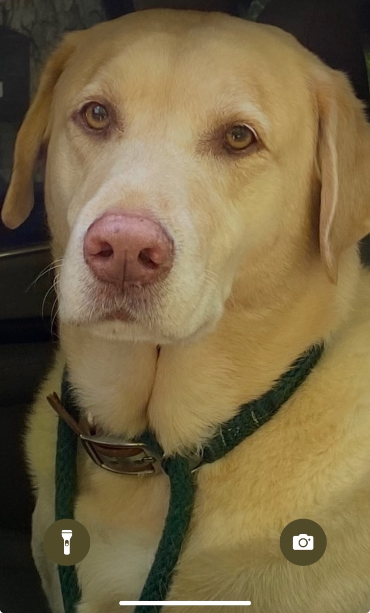 Dudley