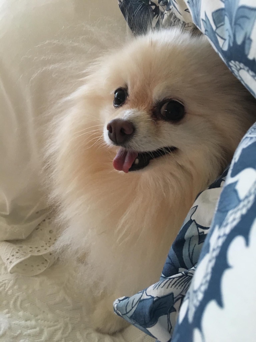 Maggie