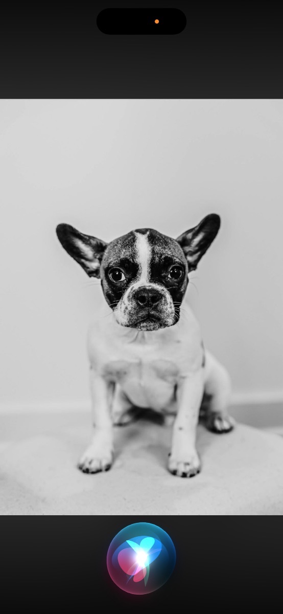 Roscoe