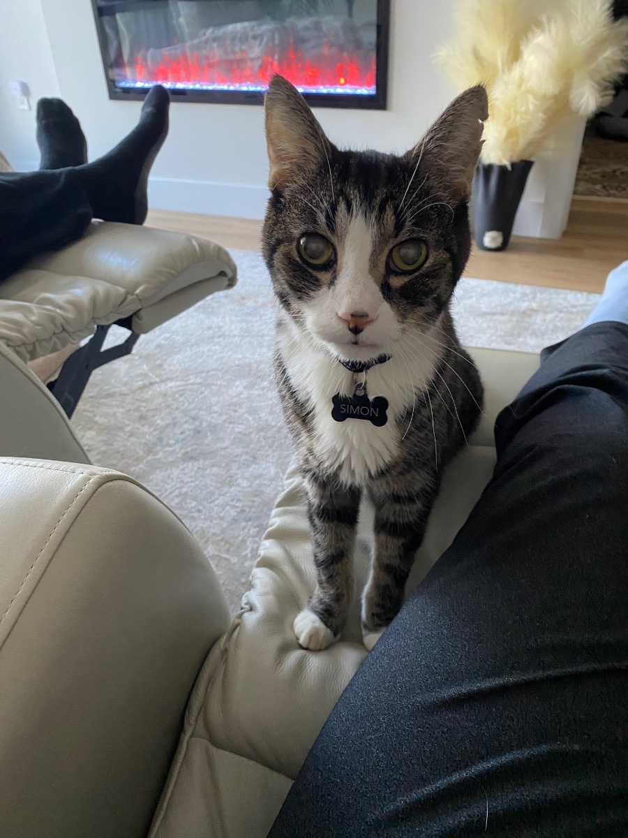 Simon