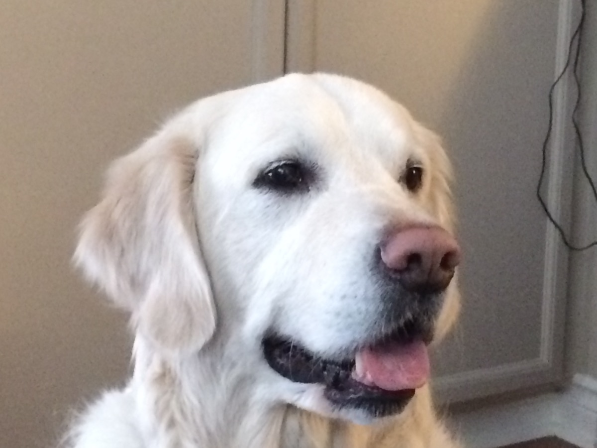 Hudson