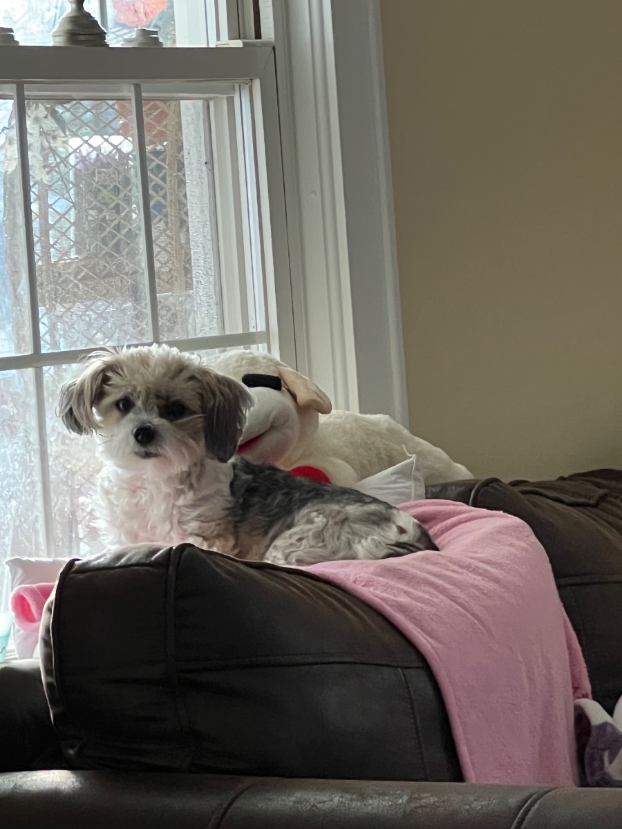 Elliemae