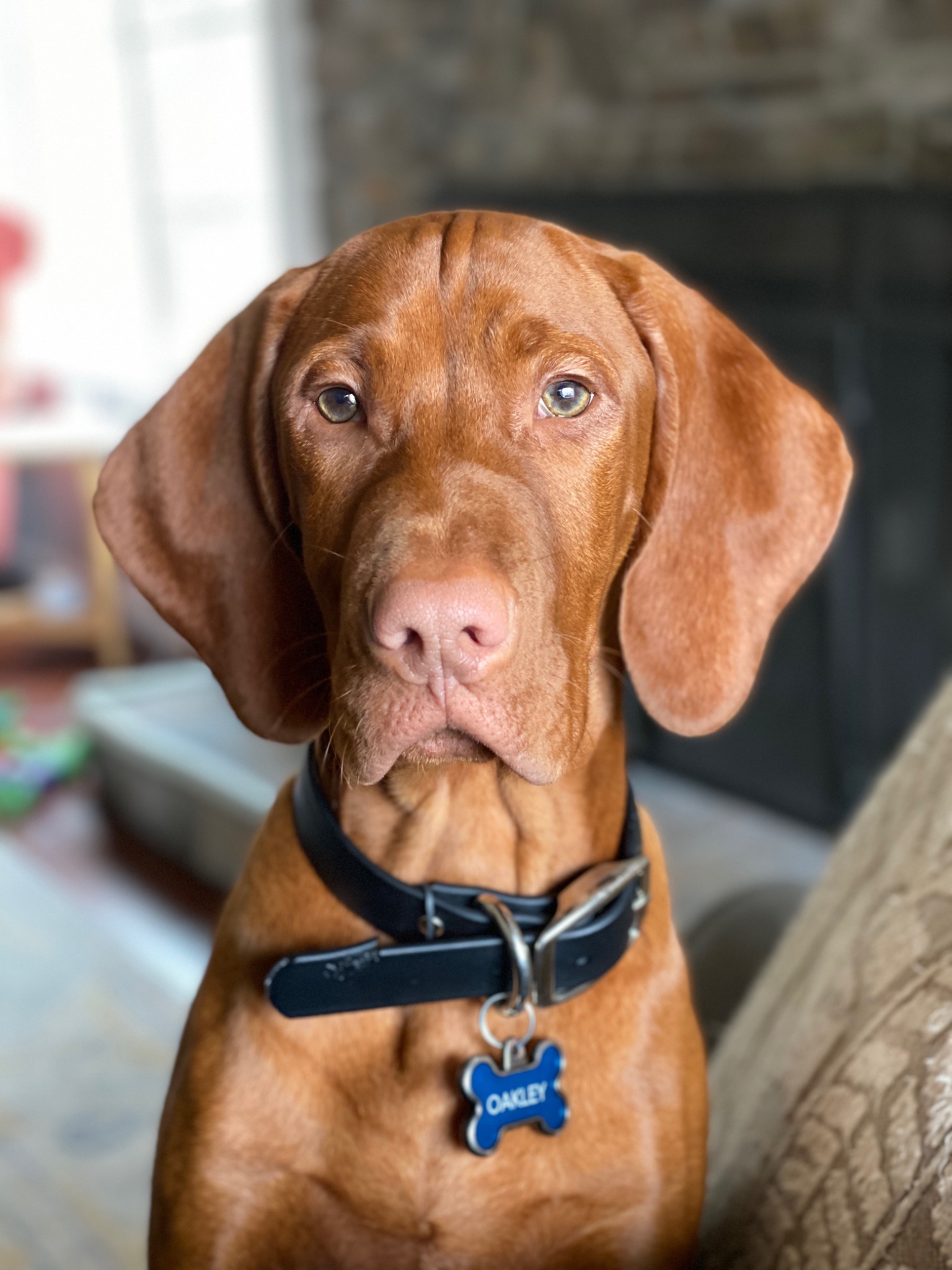 Oakley