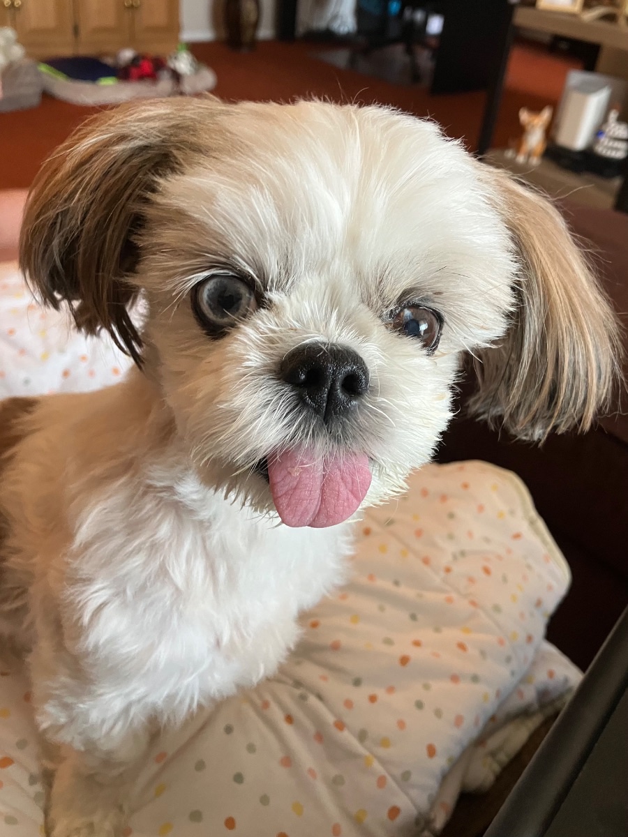 Casey