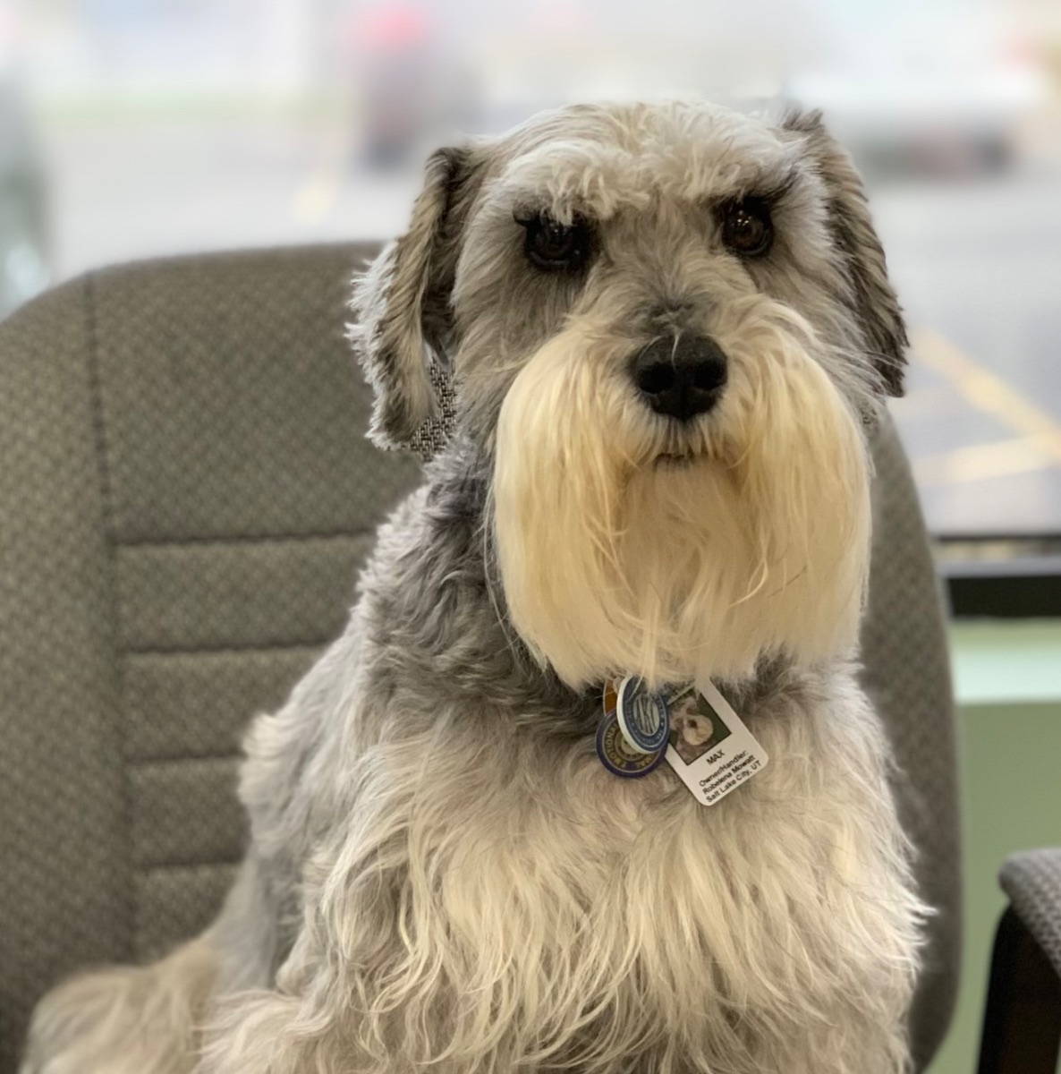 Max