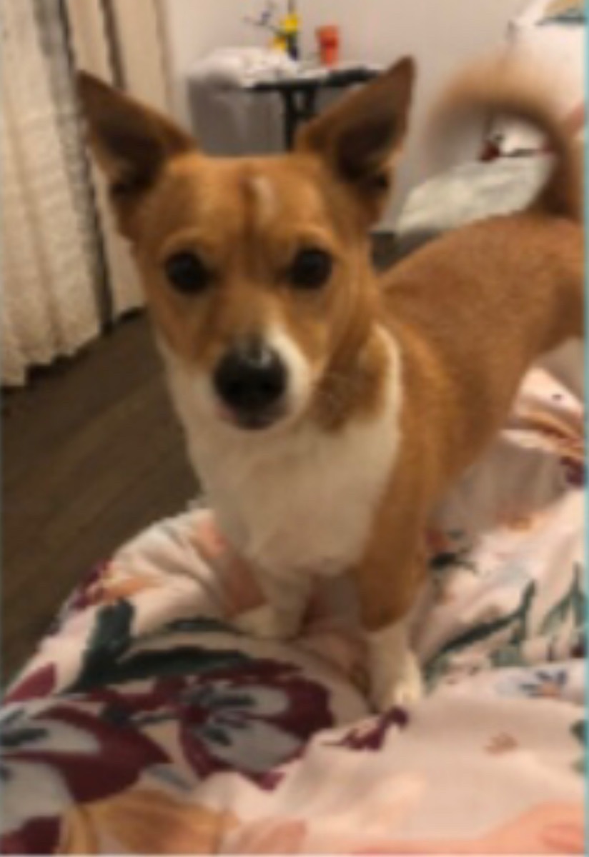 Winston