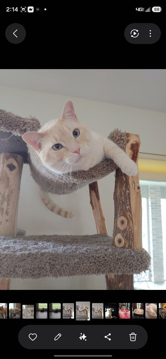 ROMEO