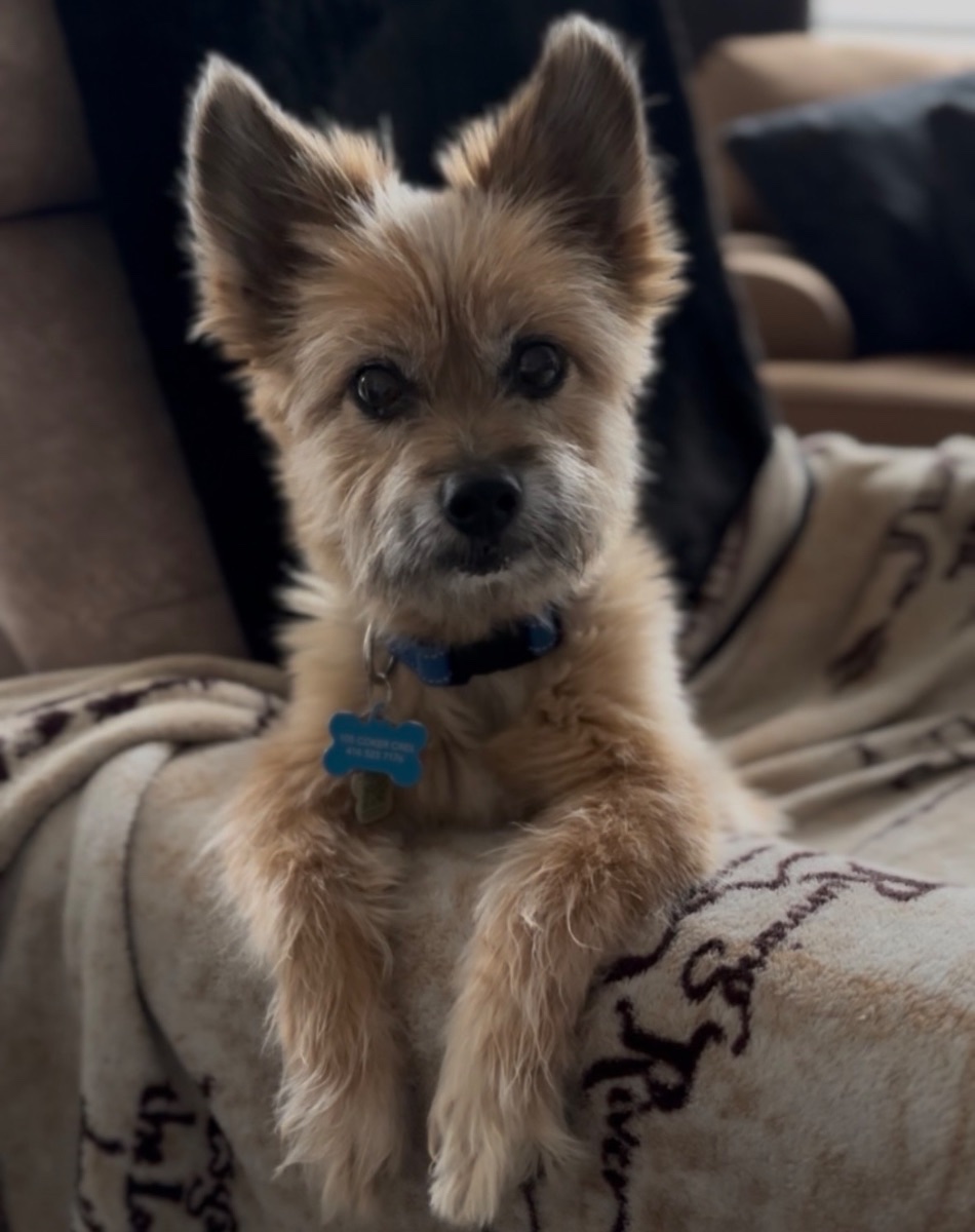 Sammy