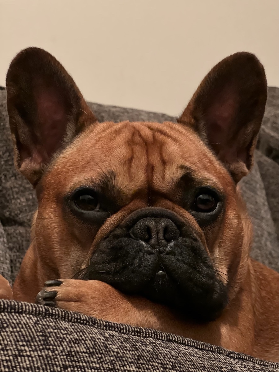 Remy