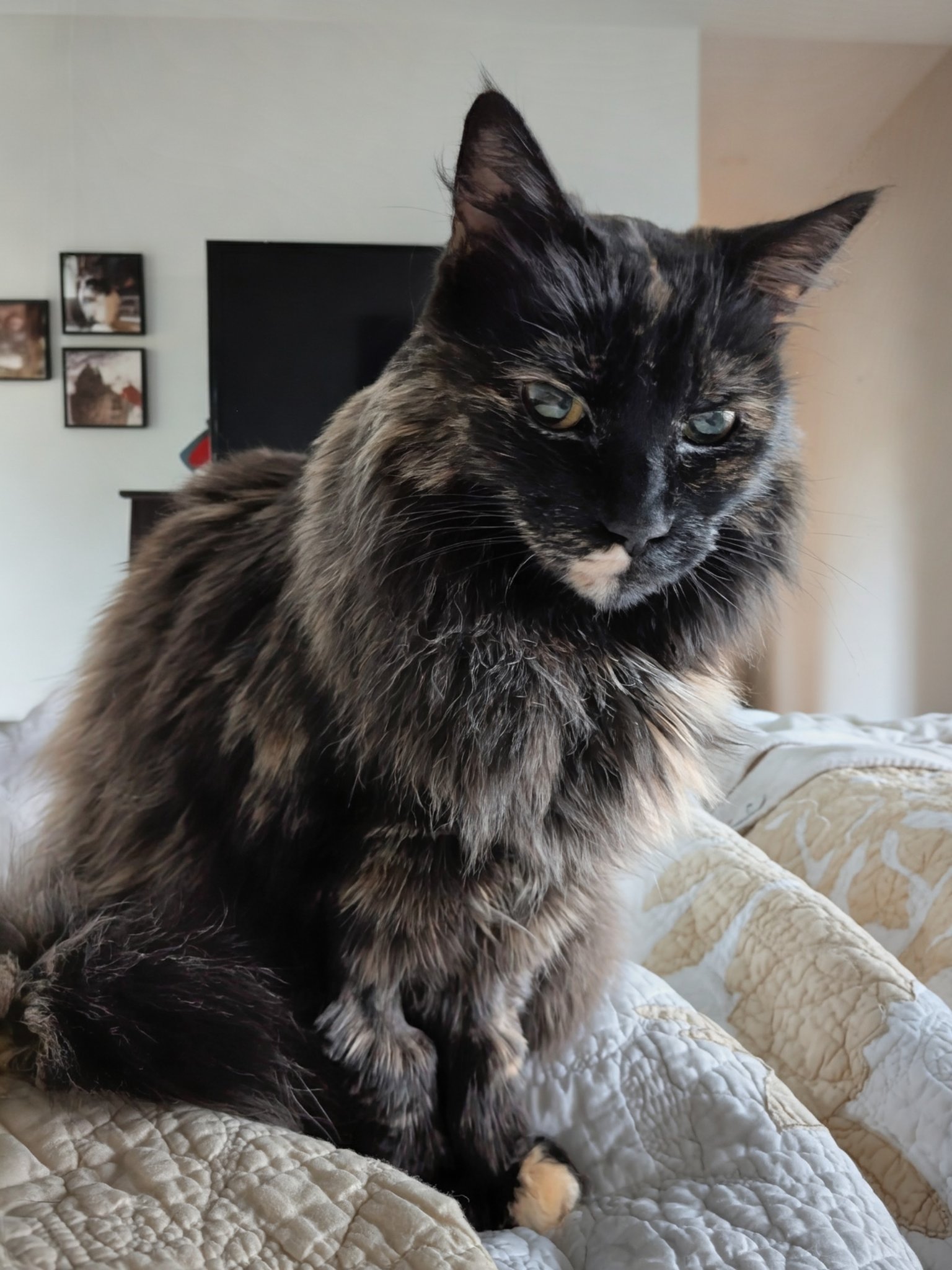 Kiki