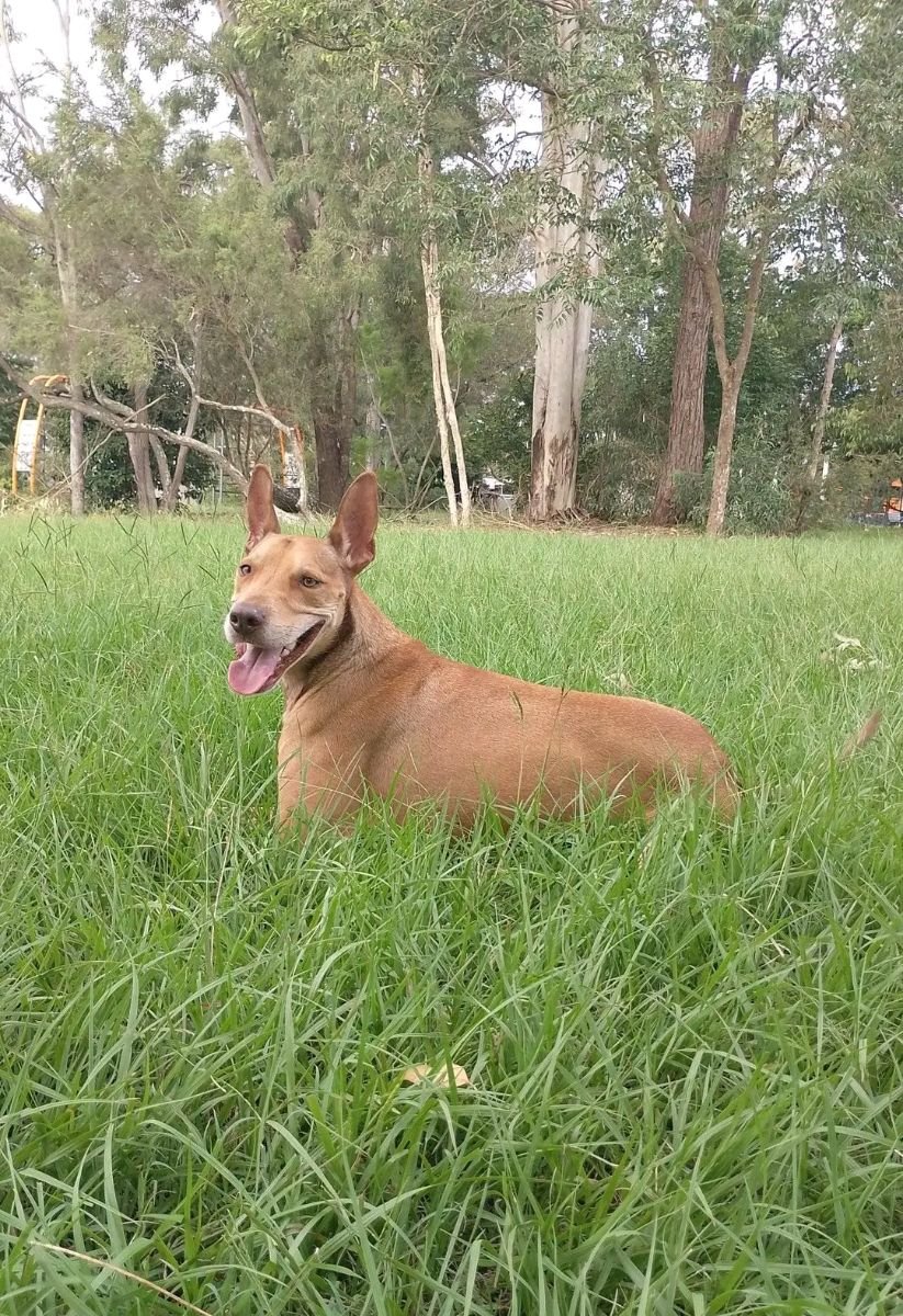 Morris