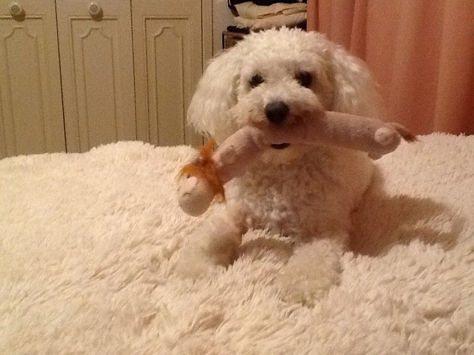 Sammie