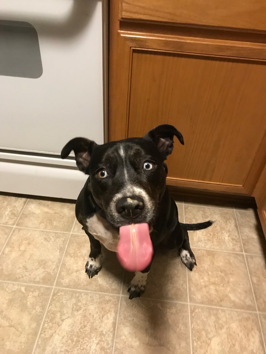 Nala