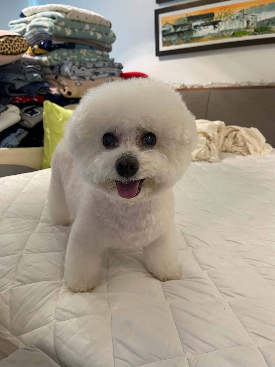 Bella