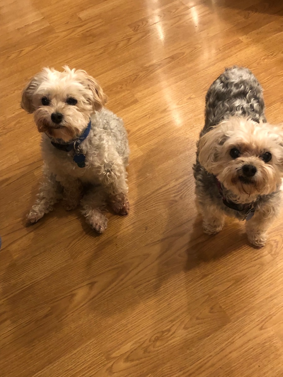Charlie and Gidget 