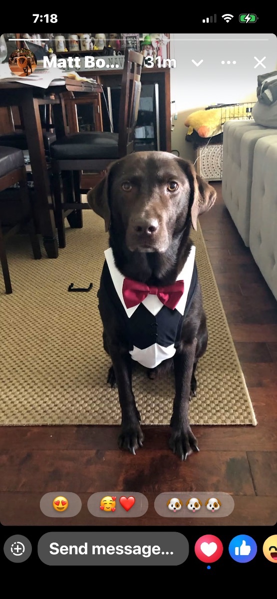 BRUIN  aka “Mr.Bear”