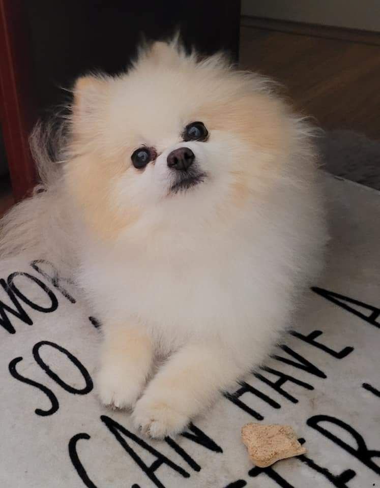 Bailey
