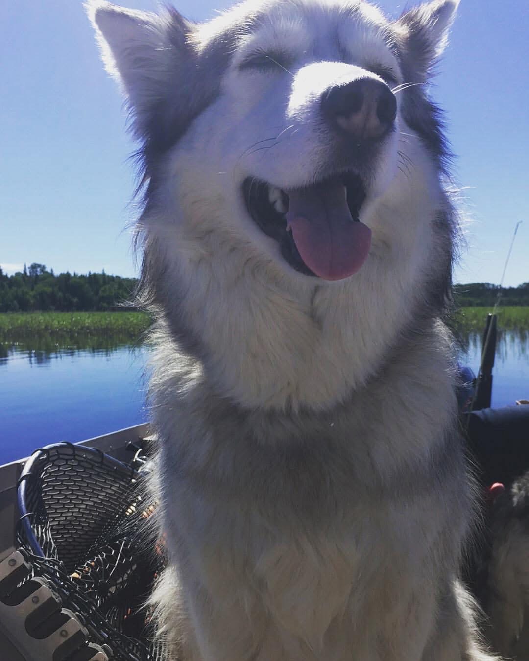 Bailey