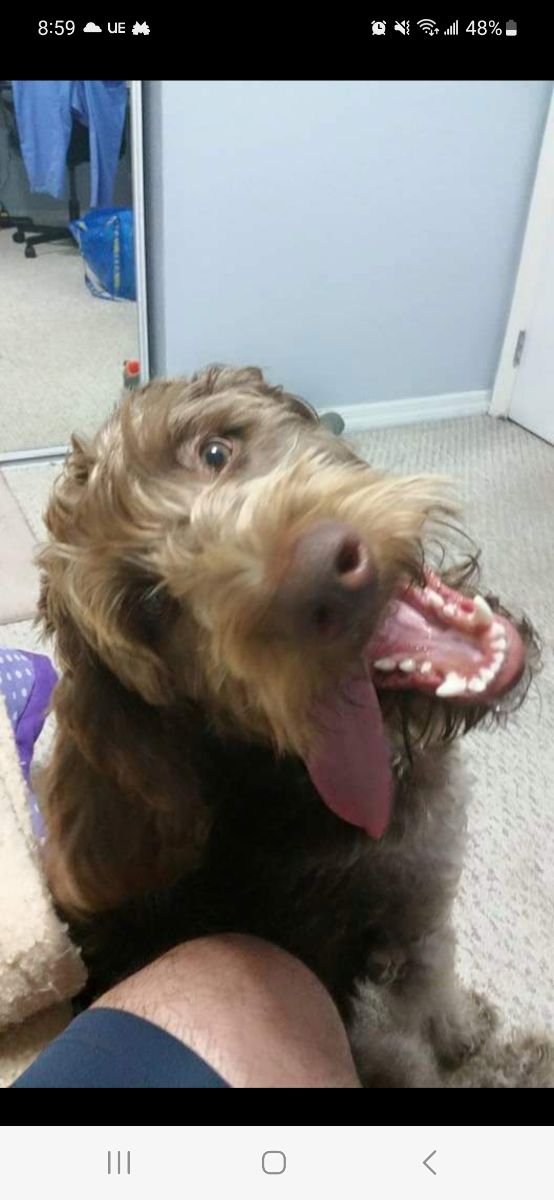 Charlie
