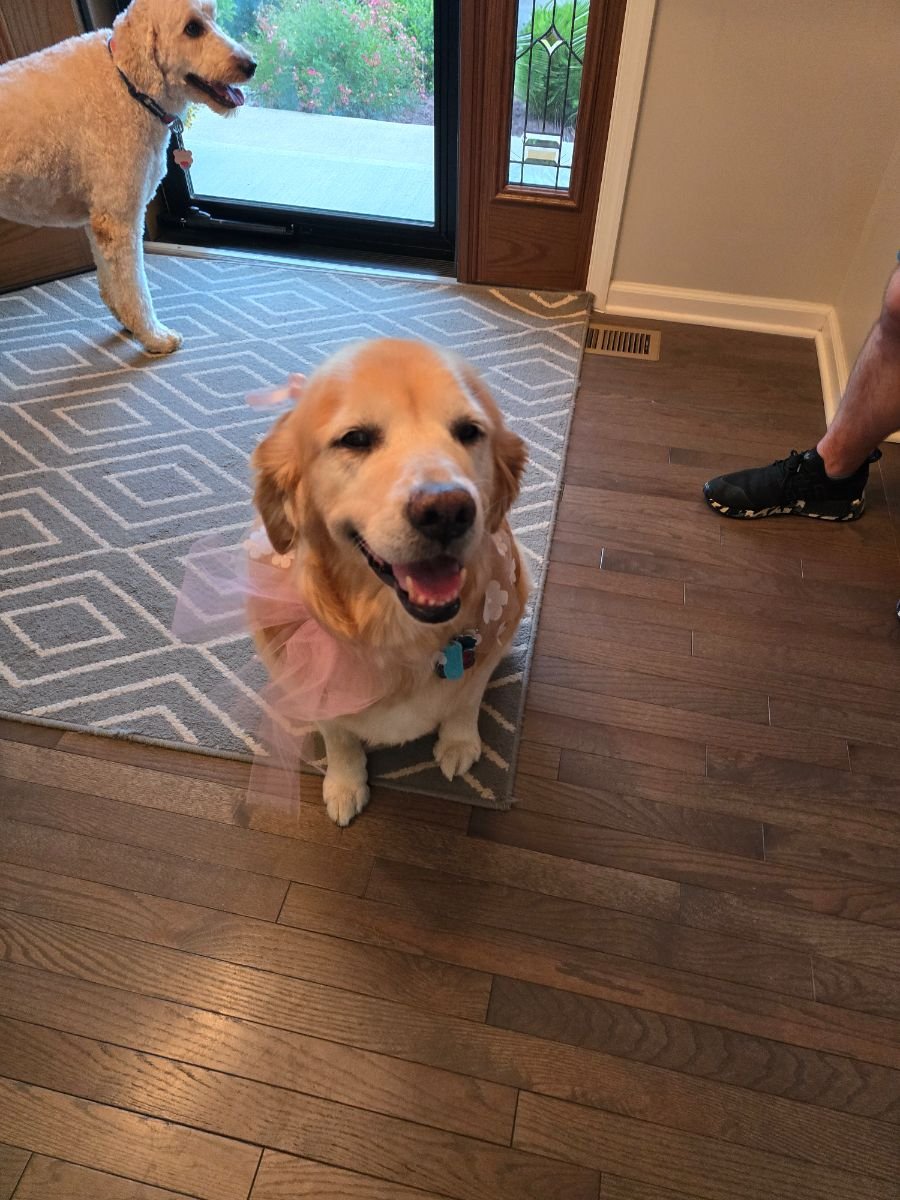 Chloe