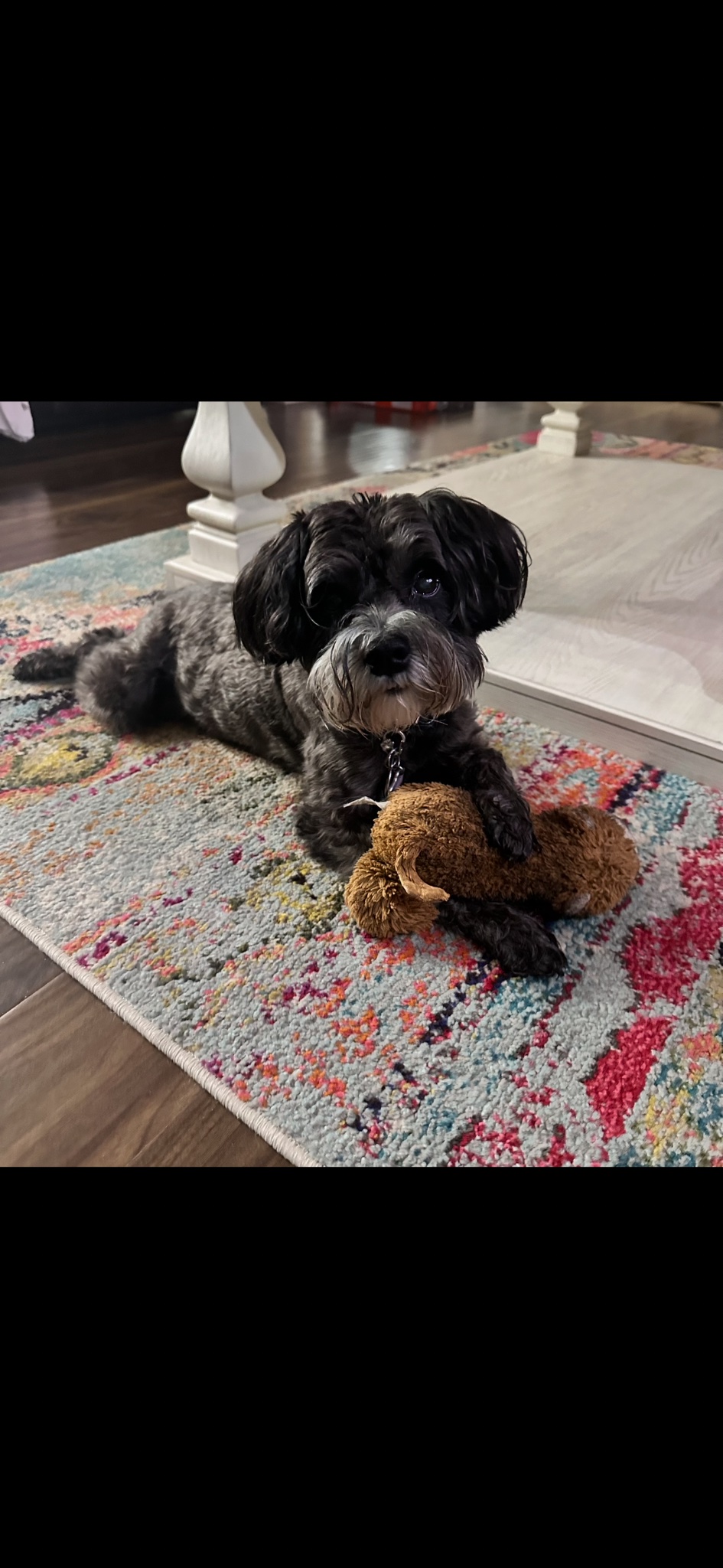 Oscar