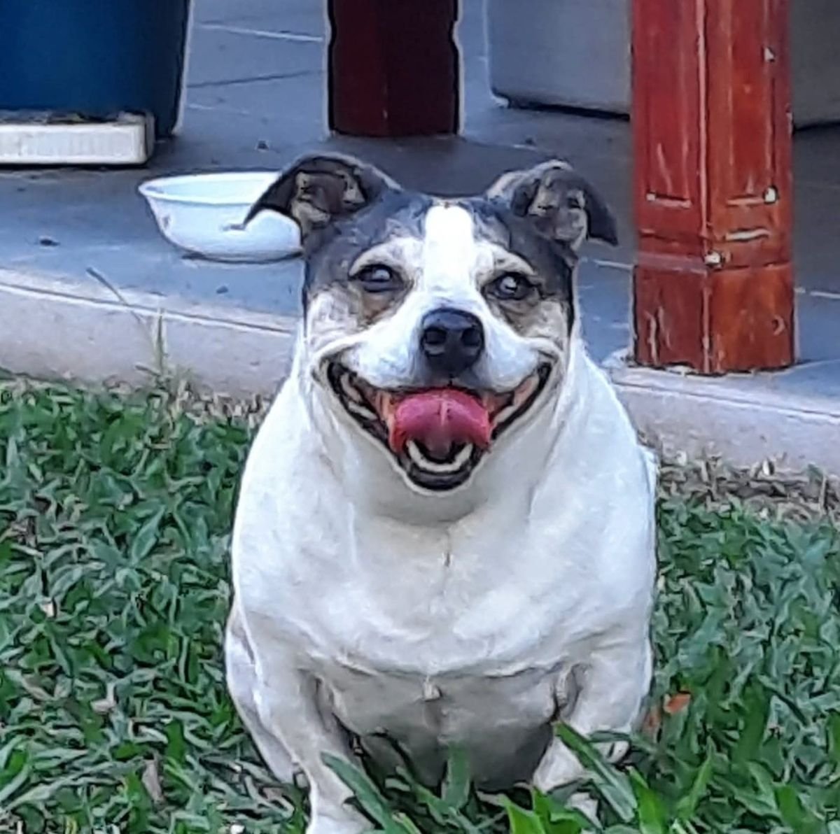 Ruby