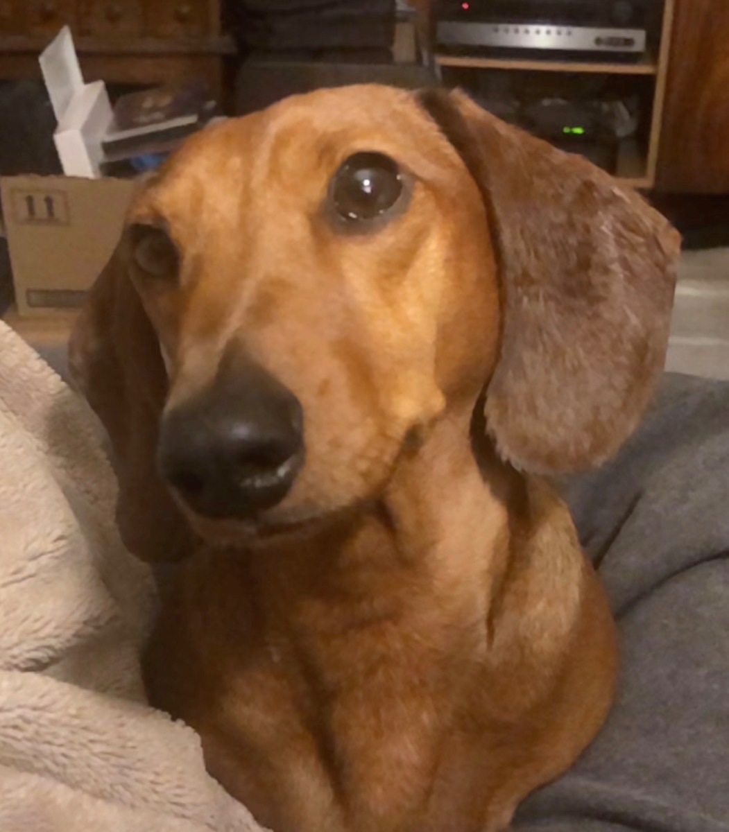 Wallace