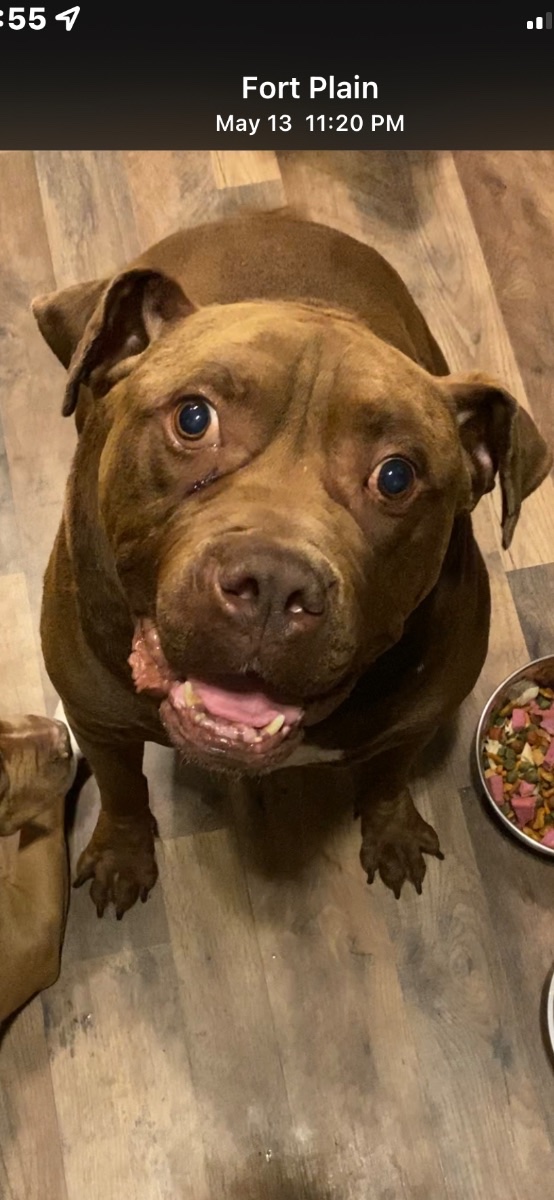 Delilah