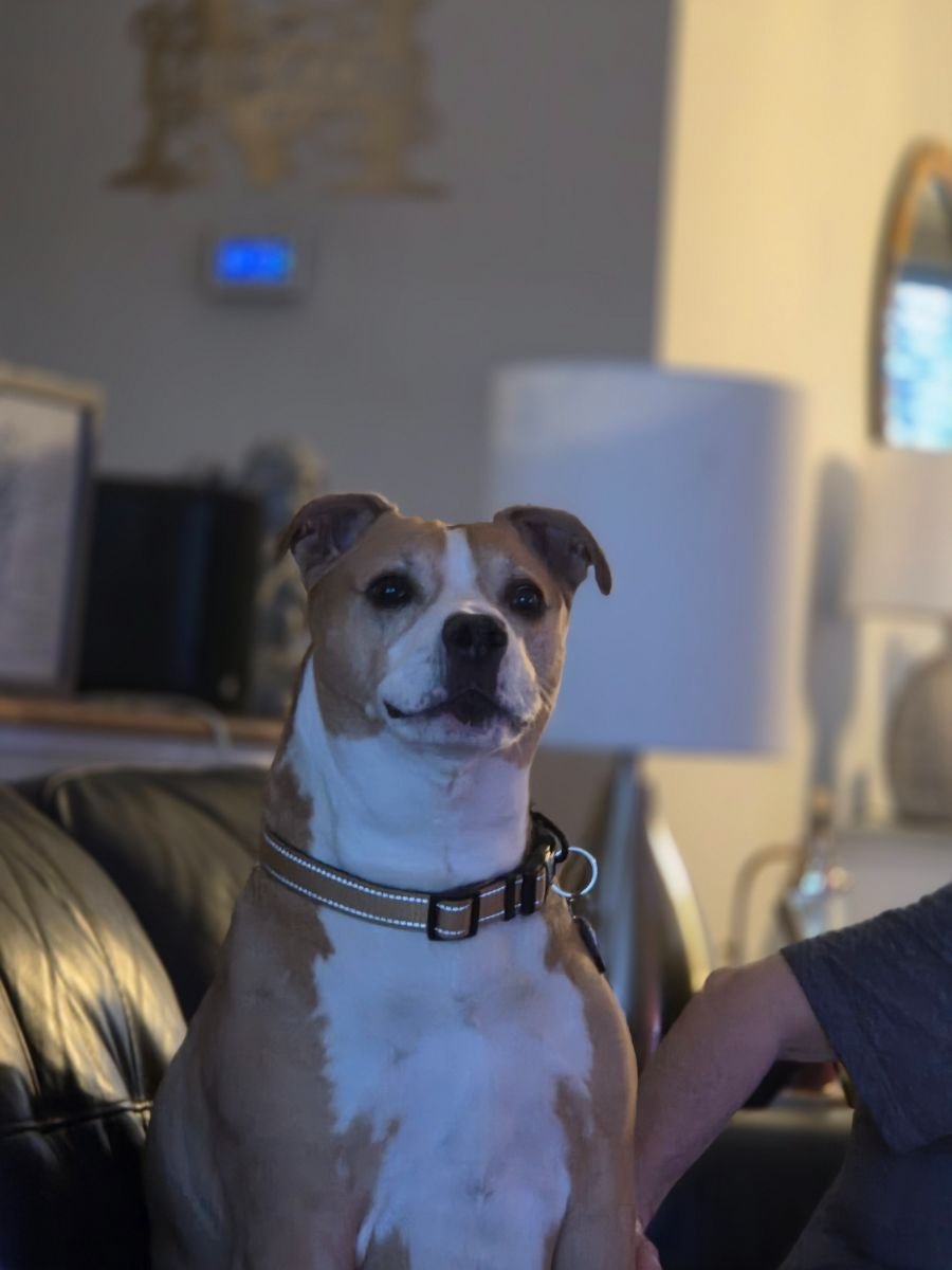 REX