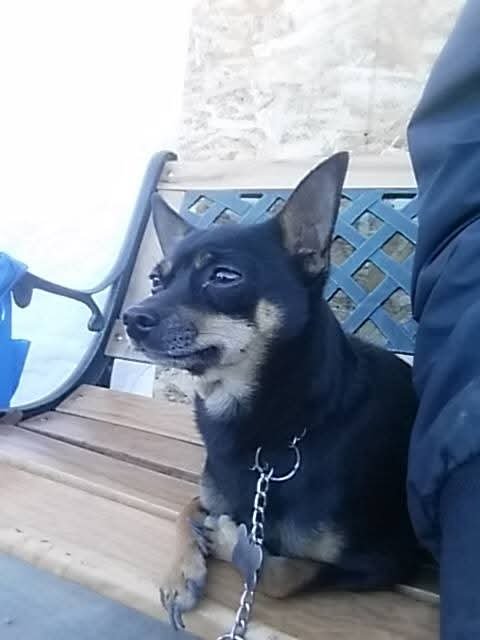 Max