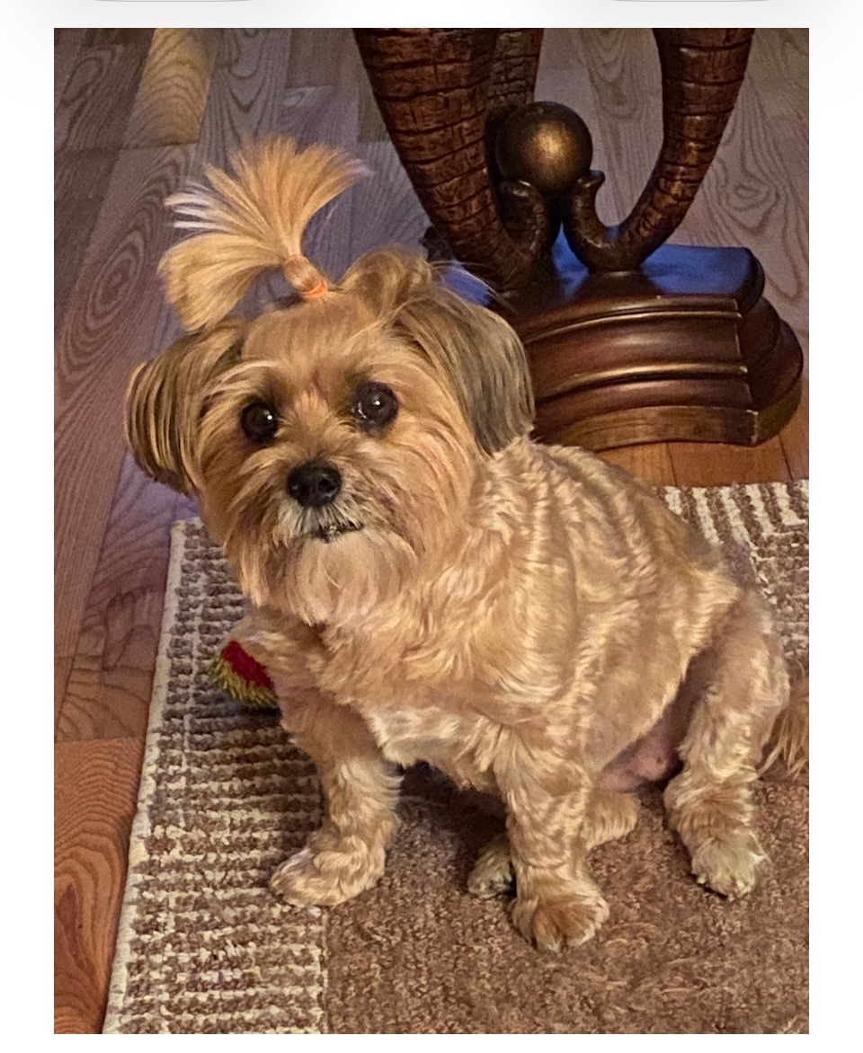 Coco