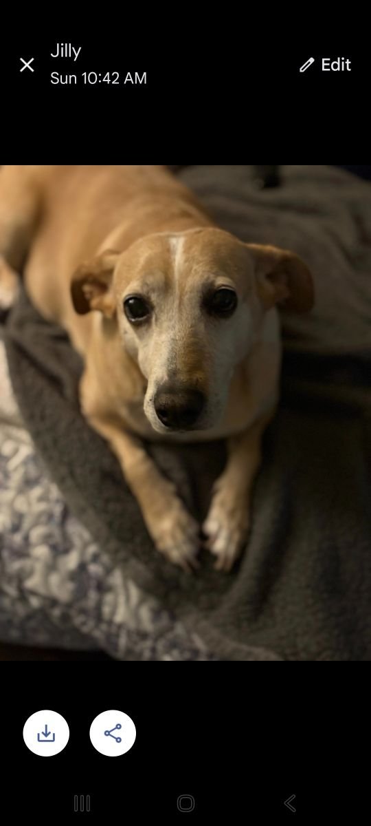 Maddie 