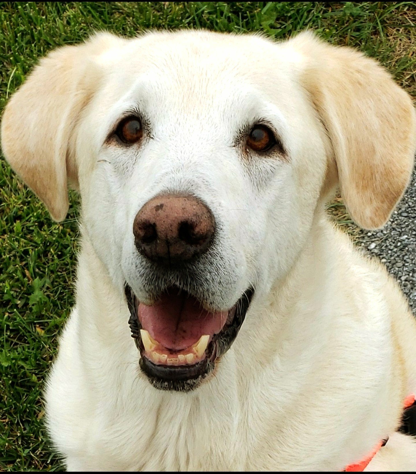 Tucker
