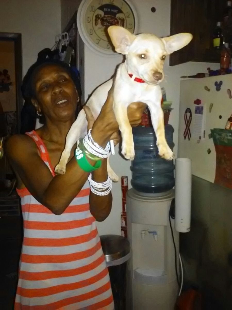 Minnie mouse aka minnie molly aka dubba aka stankit