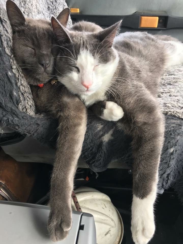 Slater and Gordon 