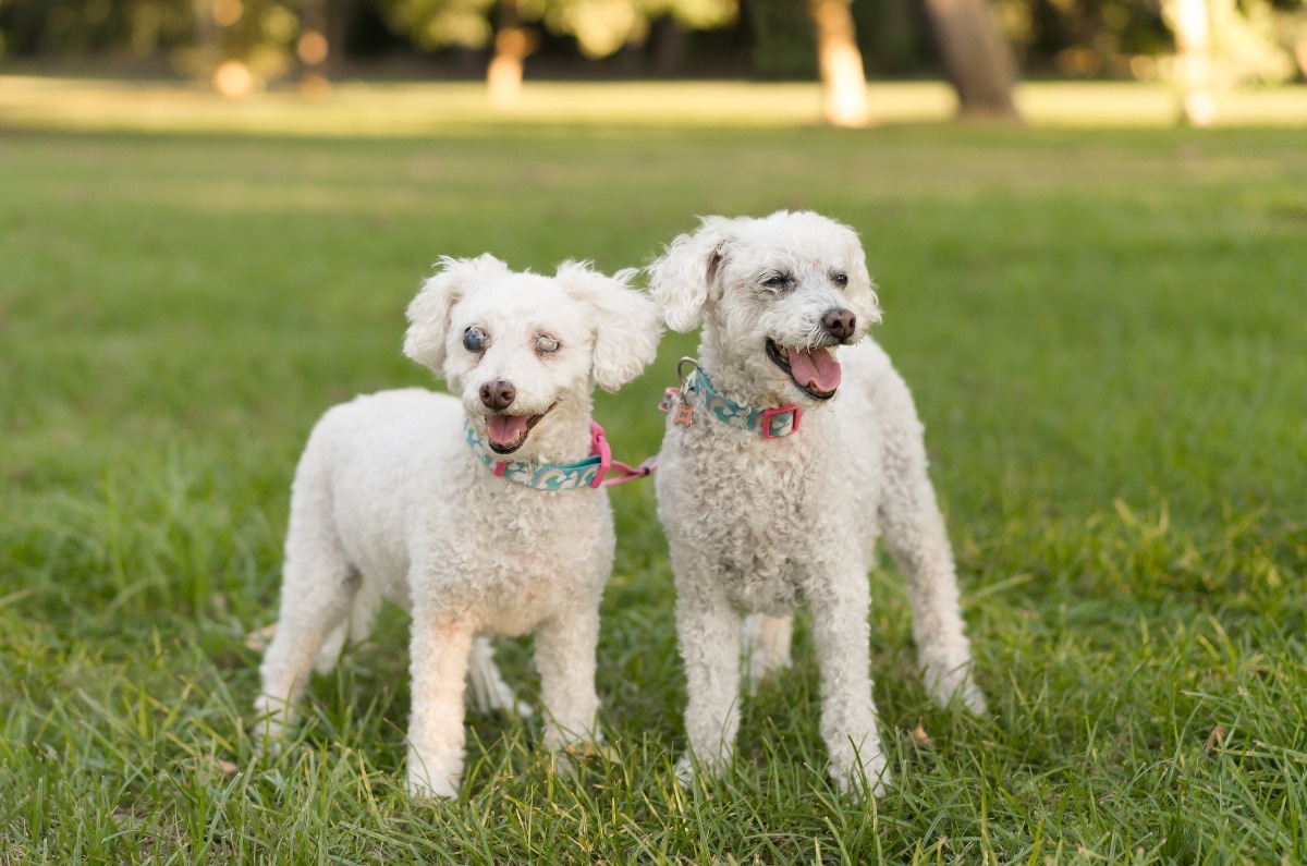 Ellie and Bella