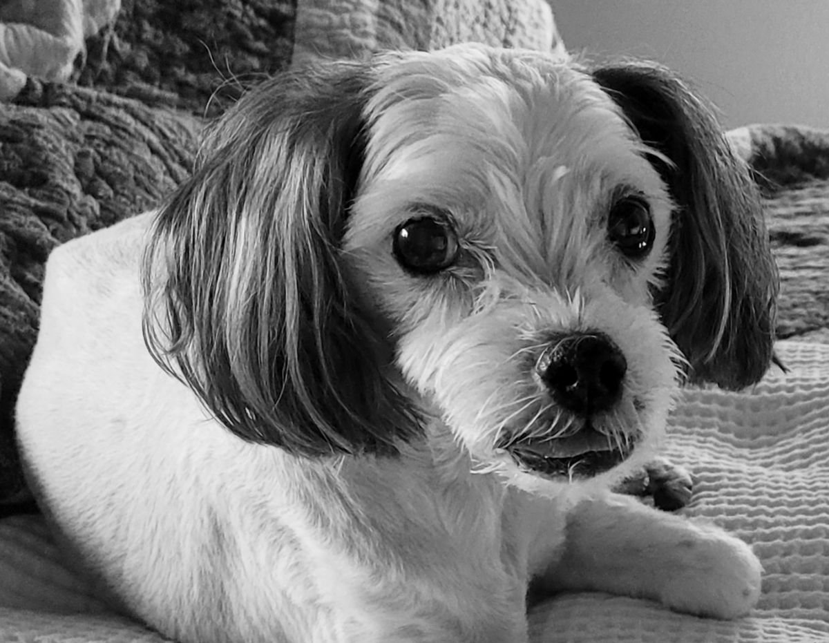 Charlie