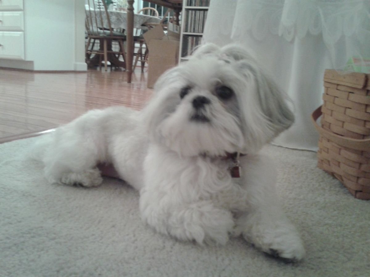 Izzy