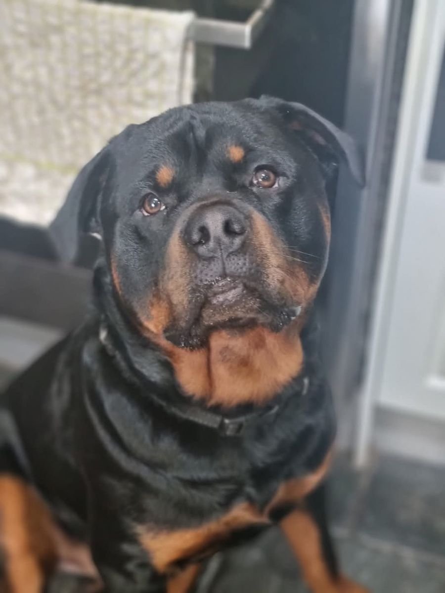 Bobby
