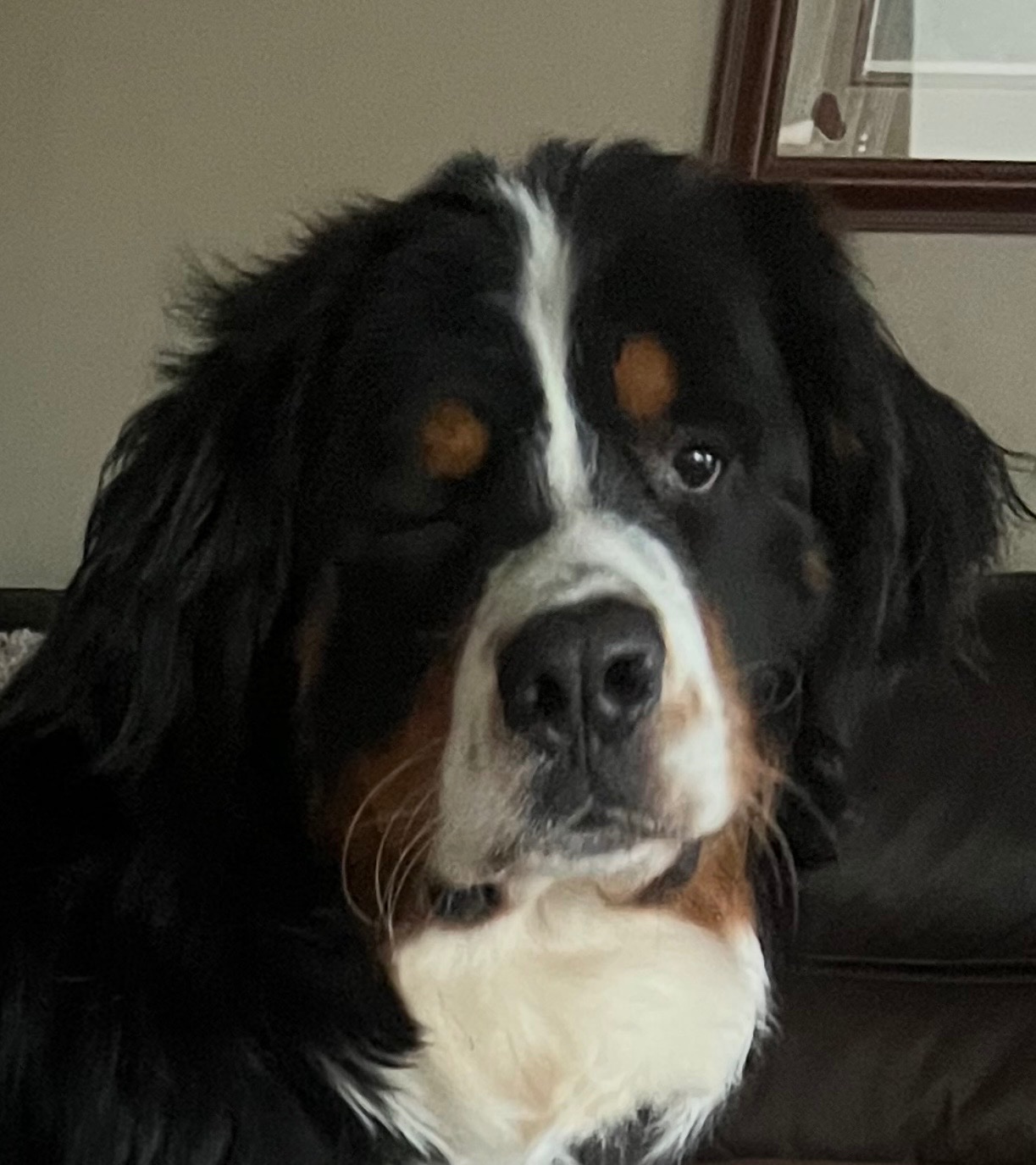 Sully
