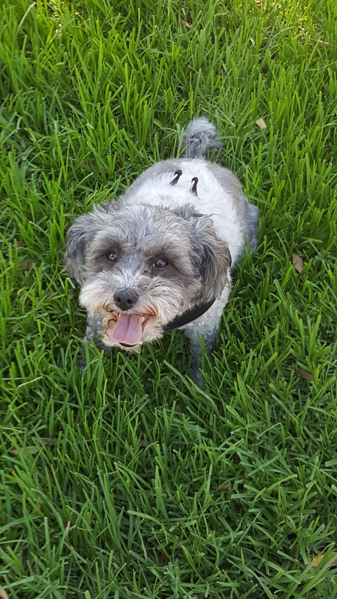 Sophie