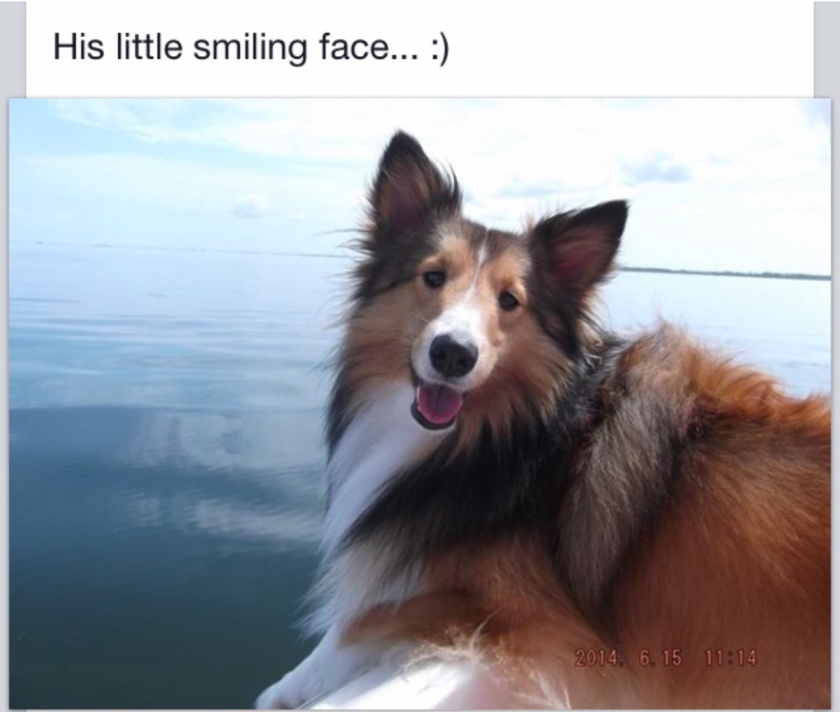 Marley
