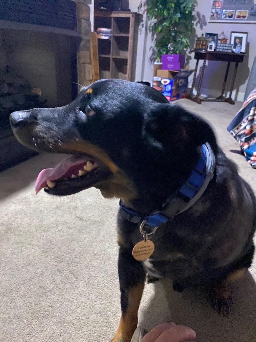Bo