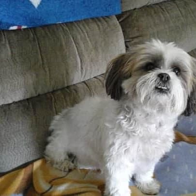 Missy