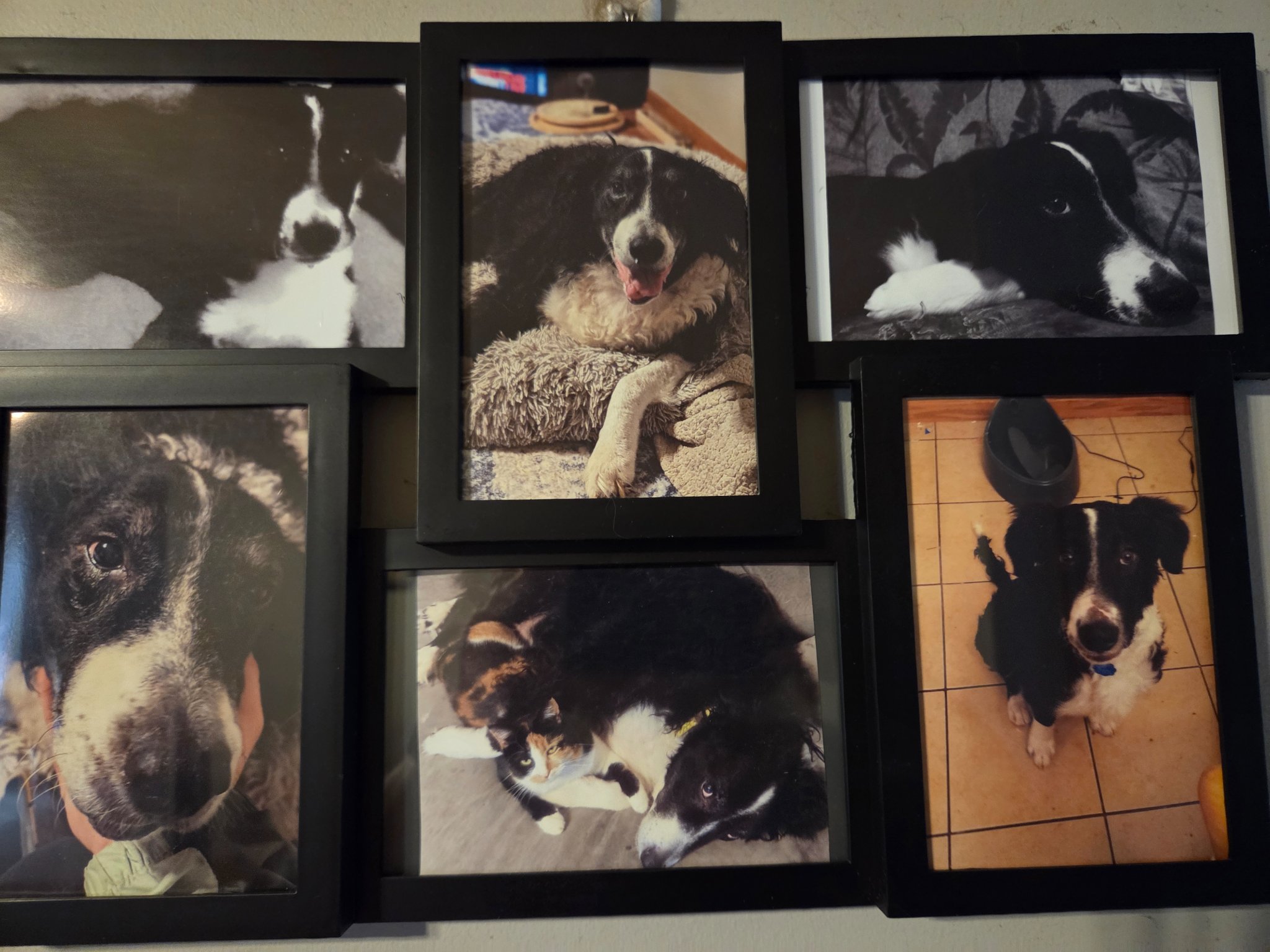 Max