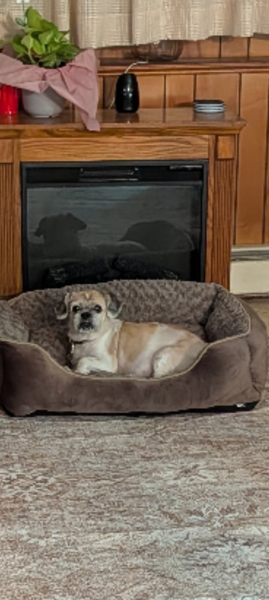 Sadie