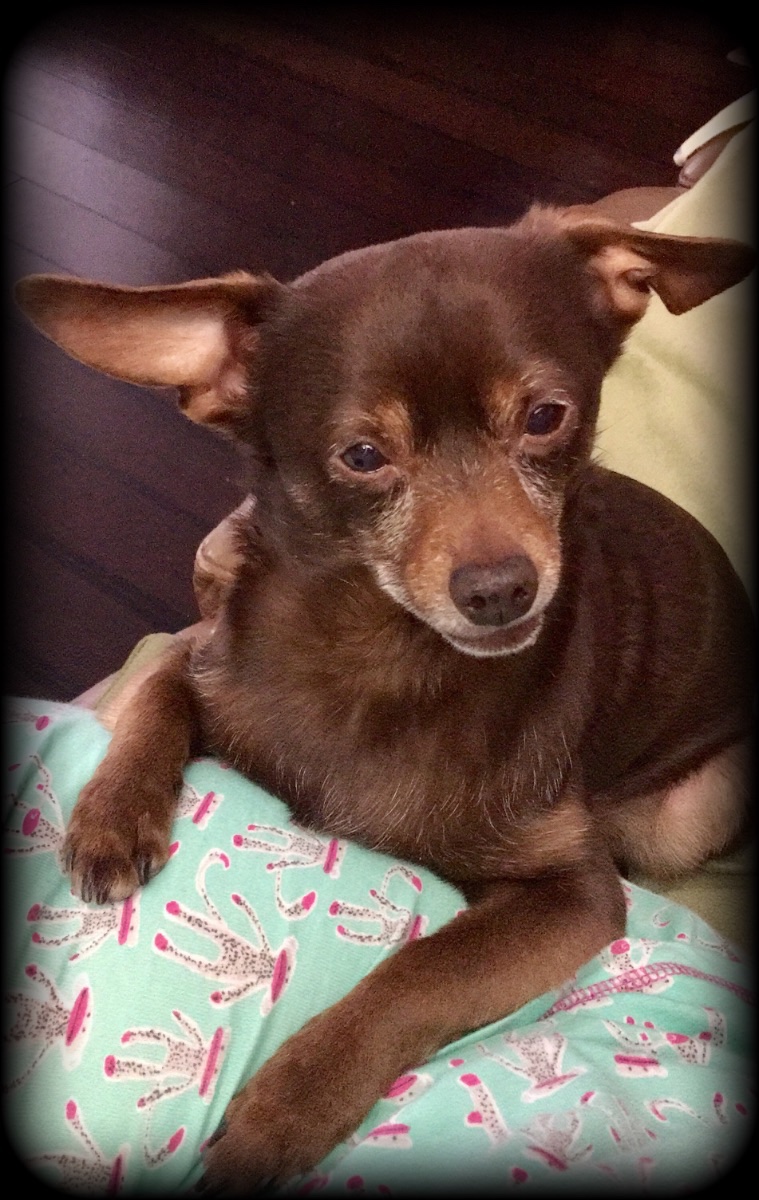 Chloe